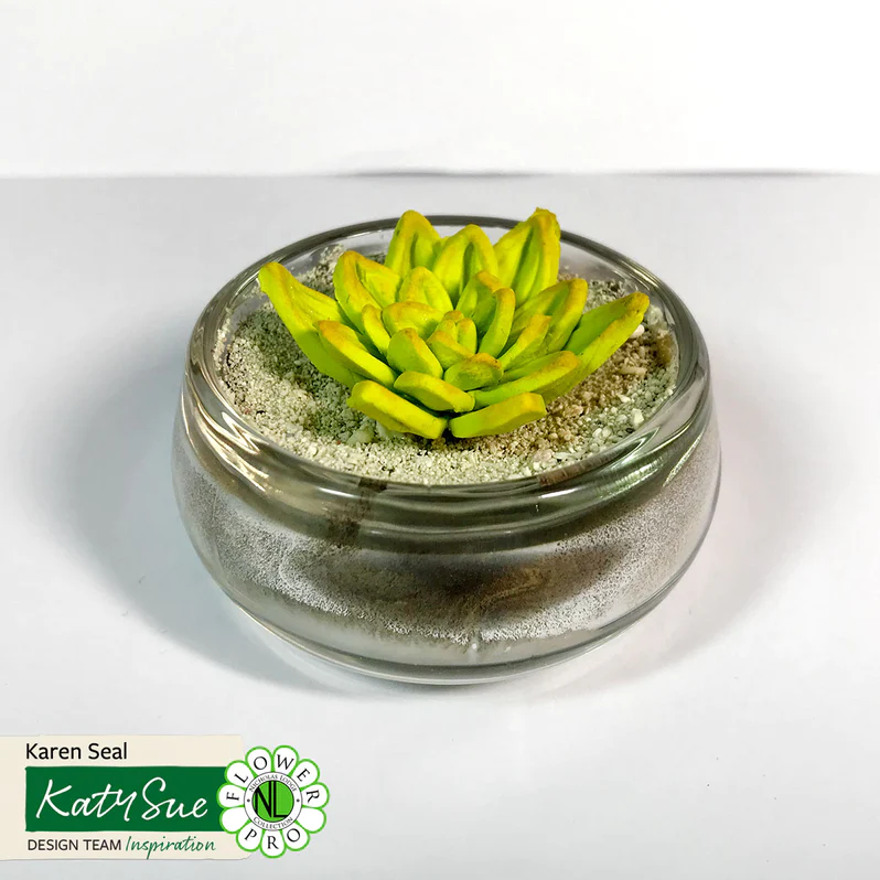 Silikonform Succulenten