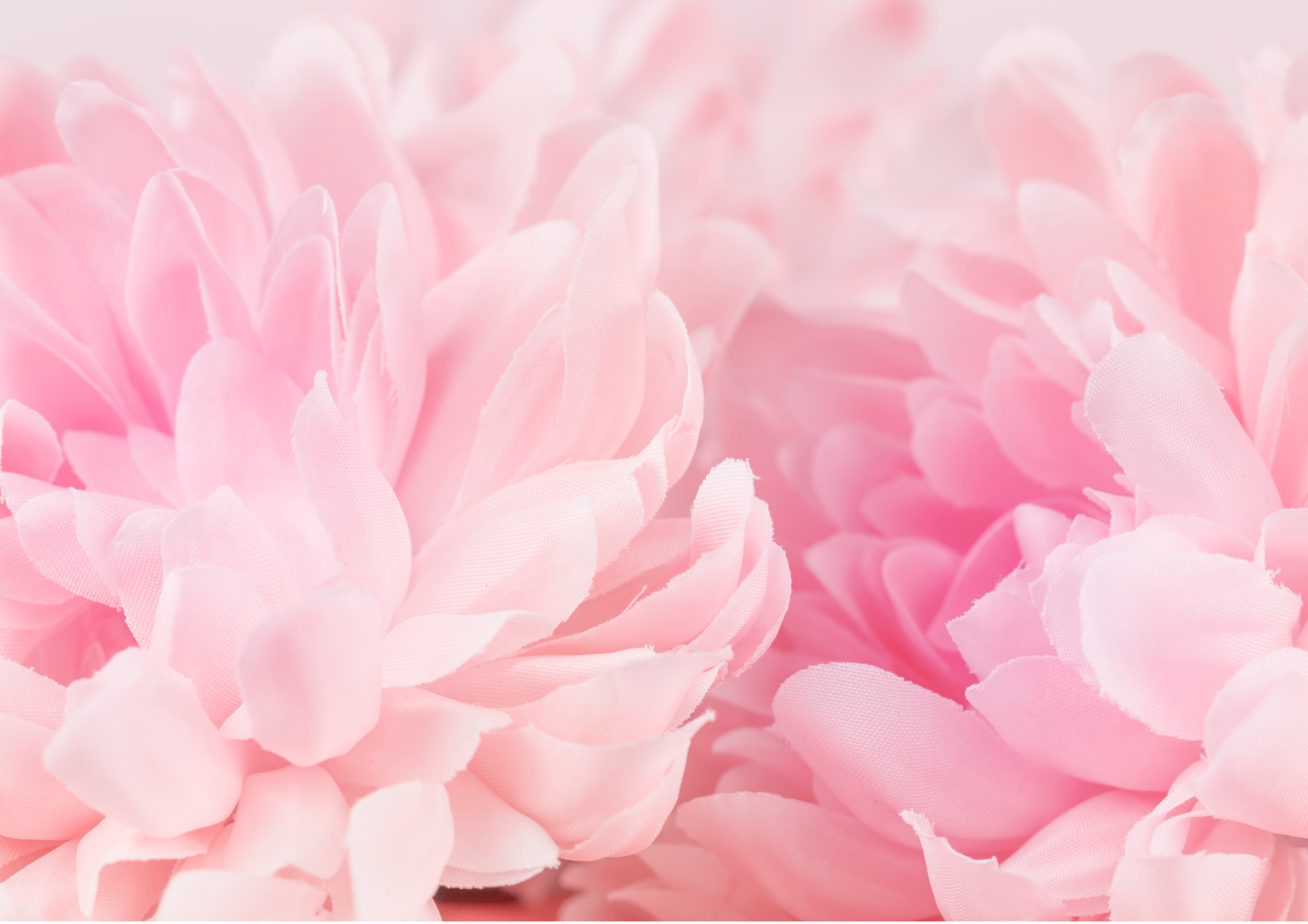 Deko Fondant Blumen