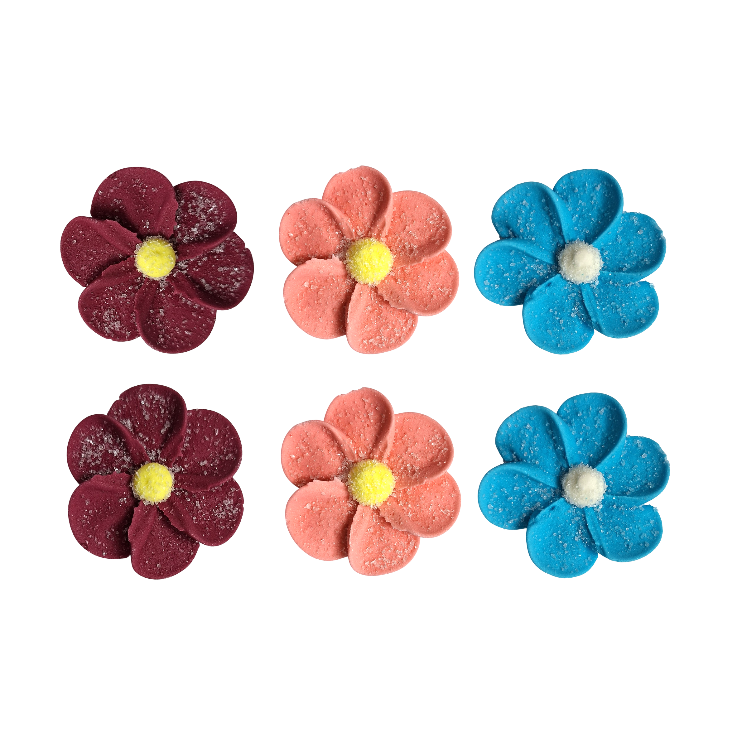Zuckerblumen Anemonen BUNT –  6er Set – Ø 5 cm