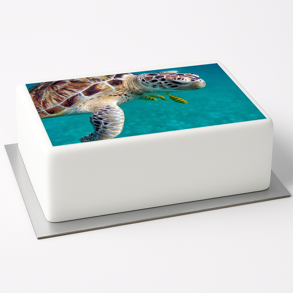 Tortenaufleger Meeresschildkröte