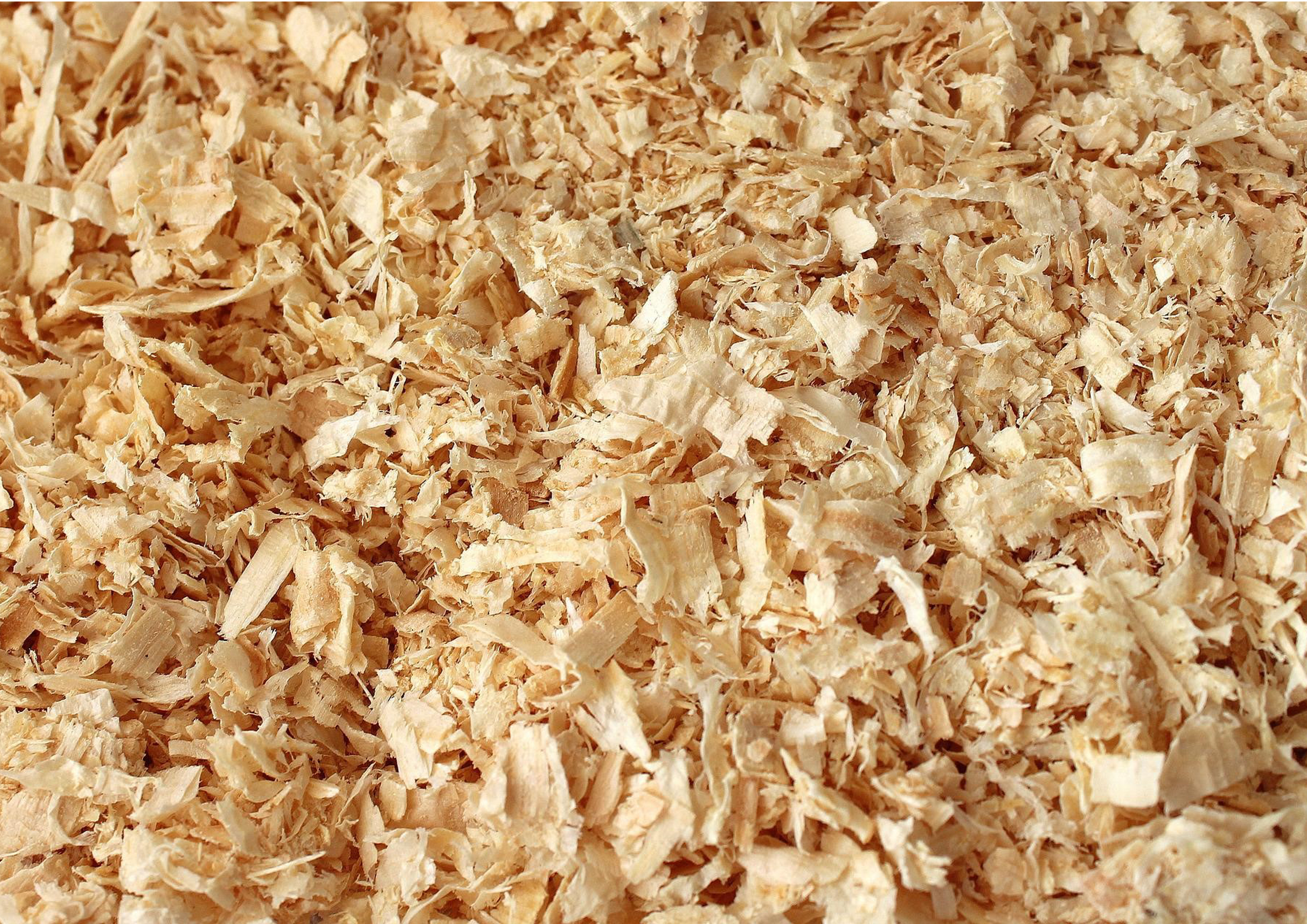 Deko Fondant Sägespäne