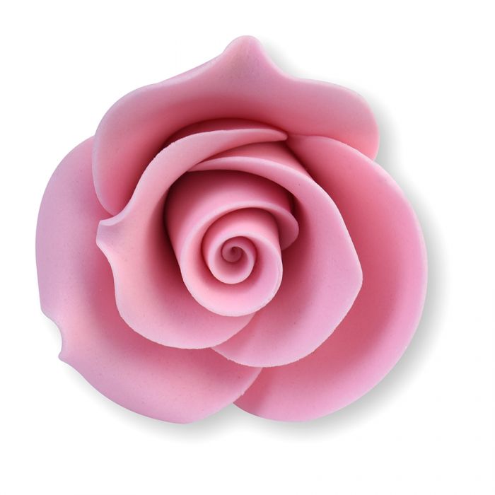Zuckerblume Rose rosa klein