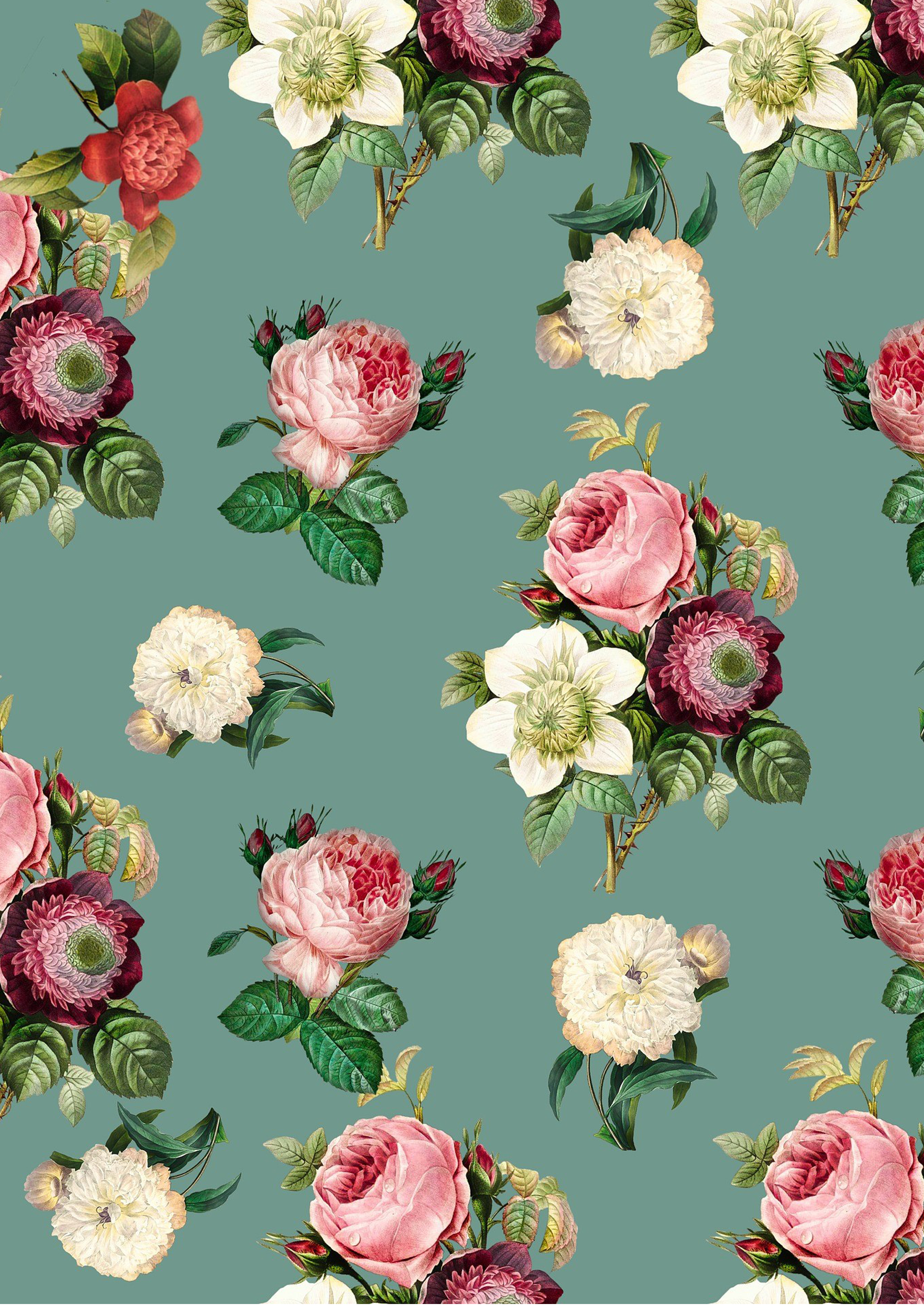 Wafer Paper / Oblatenpapier  Rosen