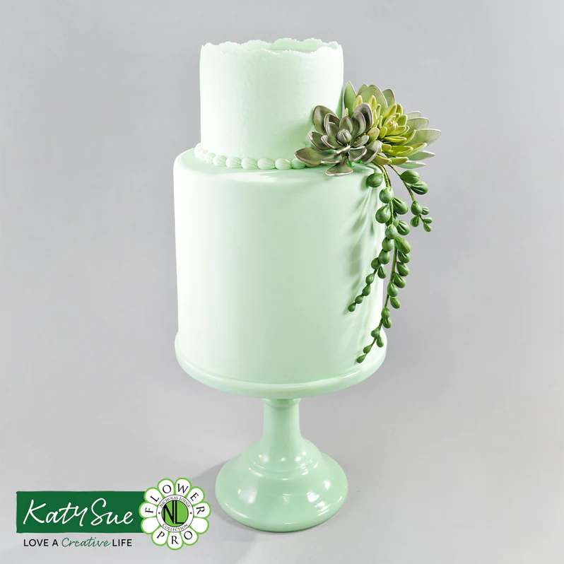 Silikonform Succulenten