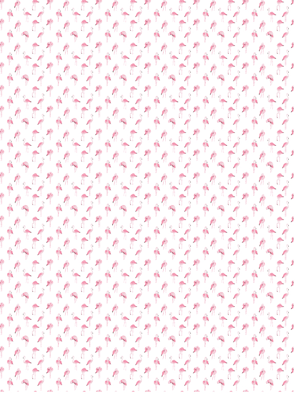 Schokoladen Transferfolie Abziehfolie Flamingo