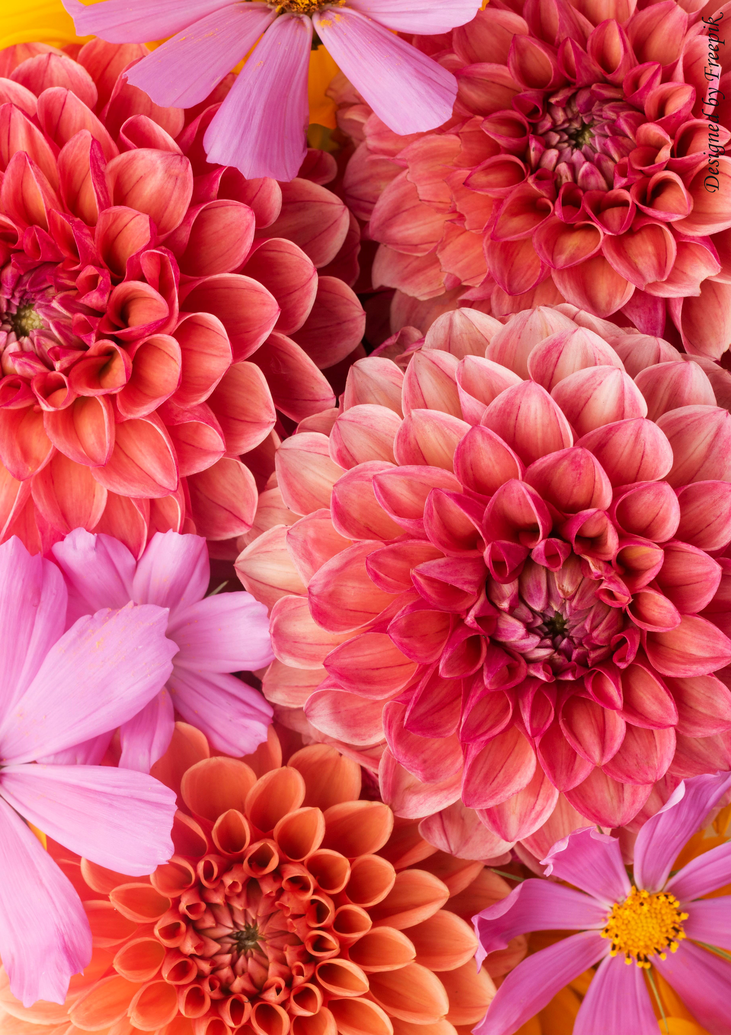 Deko Fondant Blumen