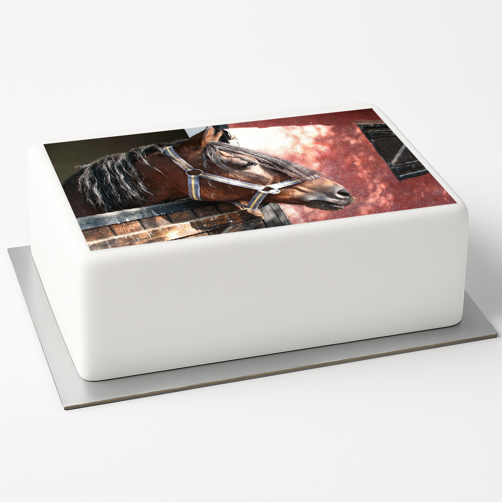 Tortenaufleger Pferd