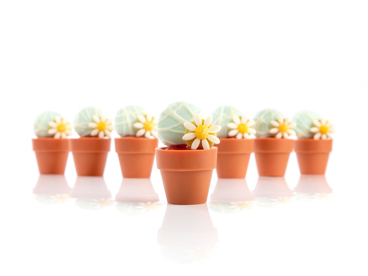 🪴 Essbare Blumentöpfe aus Schokolade – Cupcake & Cake Deko (VE 14 Stück)