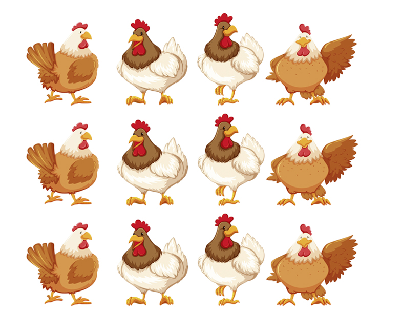Tortenband Hühner